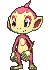 Chimchar