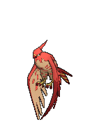 Talonflame Legends ZA Preorder