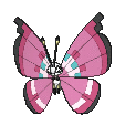 Vivillon Legends ZA Preorder