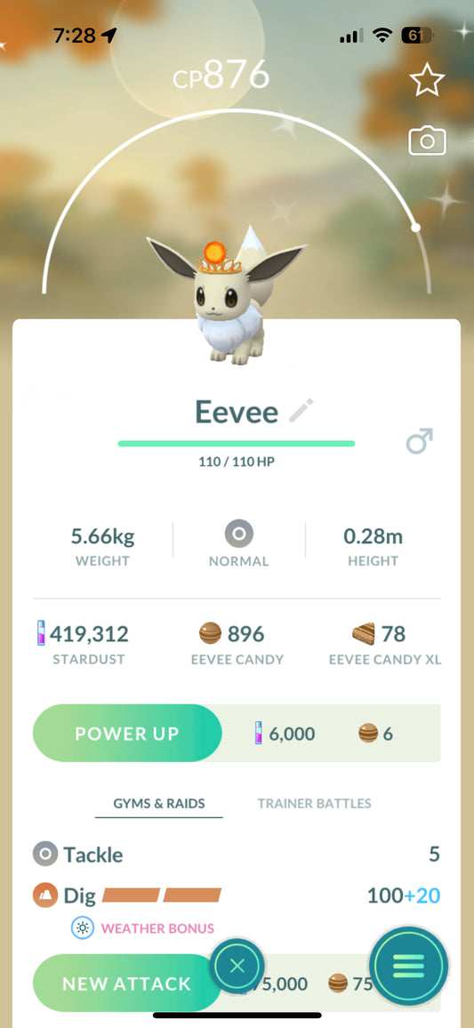 Shiny Eevee with Sun Crown "SHINY" "EVENT"