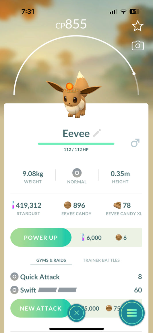 Eevee with Sun Crown "EVENT"