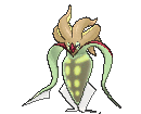 Malamar Legends ZA Preorder