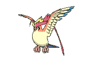 Mega Pidgeot Legends ZA Preorder