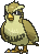 Pidgey Legends ZA Preorder