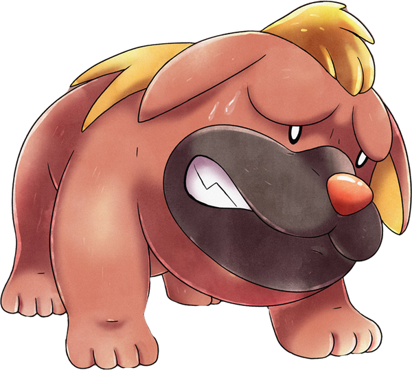 Maschiff PokeMarkett